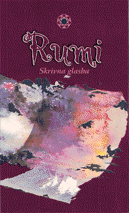 Cover of Hidden music