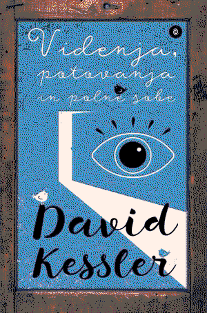 Cover of Visions, Trips, and Crowded Rooms